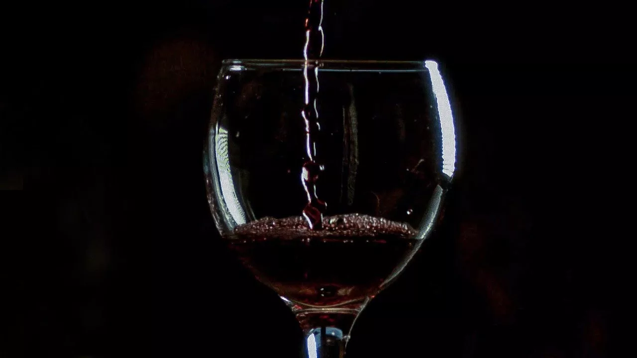 המדע שמאחורי יין אדום: היתרונות הבריאותיים המפתיעים והסיכונים הפוטנציאליים שלו